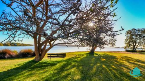 una panchina del parco sotto due alberi accanto a un lago di Bromyard Cottage a Swansea