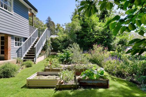 a garden in front of a house with plants at Blue Mountains Bliss Cottages Katoomba - Rosebud in Katoomba