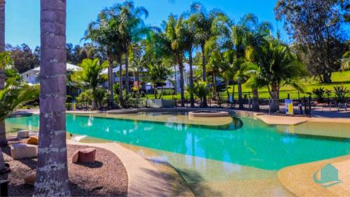 a swimming pool at a resort with palm trees at Pelican Escape Executive Home in Cams Wharf
