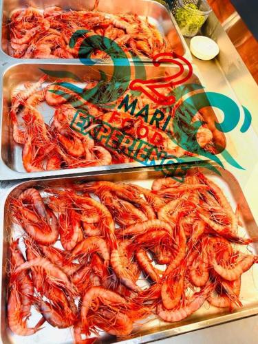 three trays of lobsters on display at a seafood market at Affittacamere 2 Mari in Marina di Leuca
