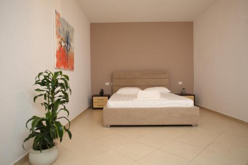 a bedroom with a bed and a potted plant at TekB Rooms & Apartments in Vlorë