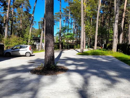 a car parked next to a tree in a driveway at Apartament Dzintari in Jūrmala