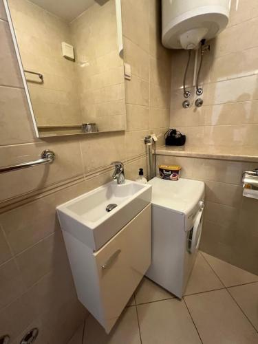 Studio apartment Violeta 3