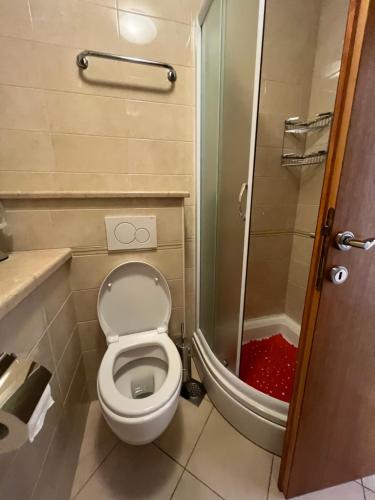 Studio apartment Violeta 3