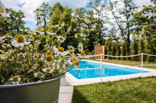 una maceta de flores junto a una piscina en Aristotelia Gi Ikies - Olympiada Poolside Retreats en Olympiada