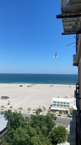 Gallery image of ASTORIA Patria in Mamaia