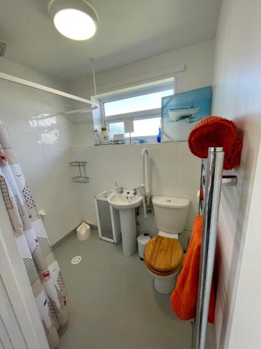 a small bathroom with a toilet and a sink at 187 Needles Lodge in Freshwater