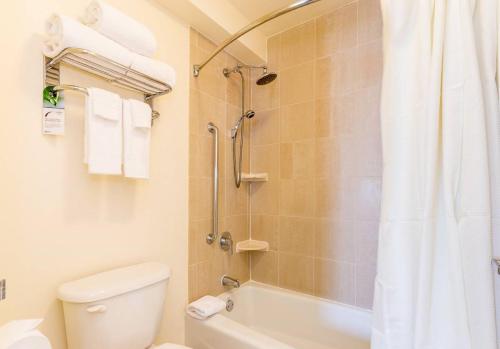 y baño con ducha, aseo y lavamanos. en Lovely 1 BR Apartment in Manhattan, en Nueva York