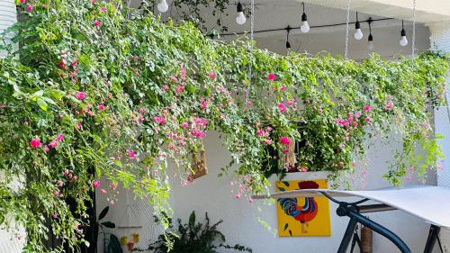 a wall with pink flowers growing on it at Hotel Tamar Mepe in Kutaisi