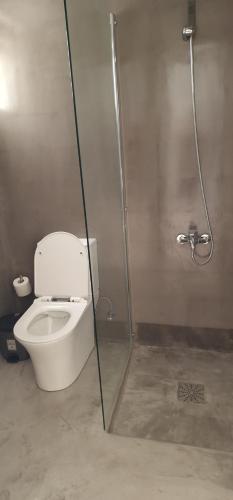 a bathroom with a toilet and a shower at Summer's Hotel Apartments in Ayia Napa