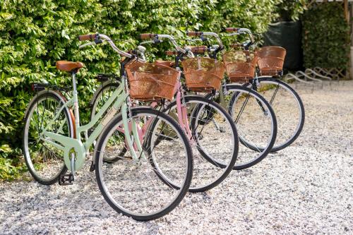 rząd rowerów zaparkowanych obok siebie w obiekcie Villino Claudia w mieście Forte dei Marmi