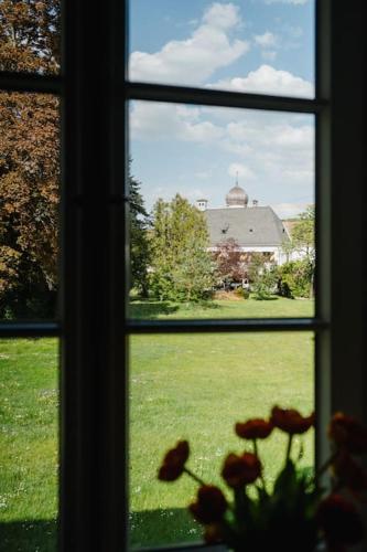 a window with a view of a field of grass at Lake house with sun terrace for 8 guests in Herrsching am Ammersee