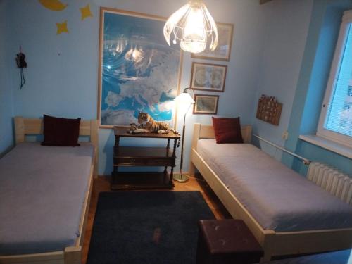 a room with two beds and a cat sitting on a table at Apartmán Dolný Kubín in Dolný Kubín