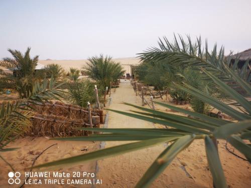 Karam Siwa Camp