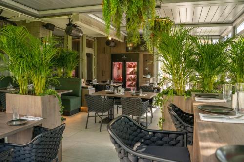 a restaurant with tables and chairs and plants at Exclusive Hotel & More in Sibiu