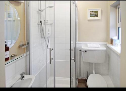 ein Bad mit einer Dusche, einem WC und einem Waschbecken in der Unterkunft Almara House in Galway