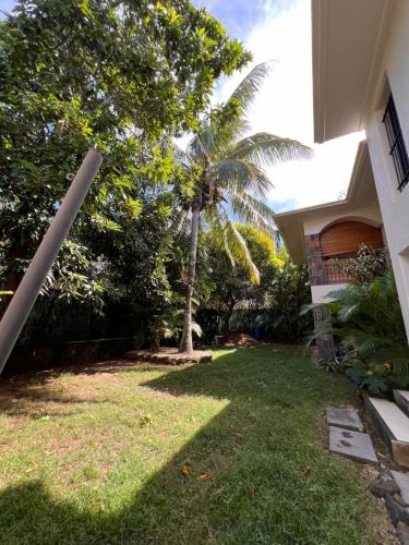 a yard next to a house with a palm tree at Appartement 2 chambres avec Jardin privé sur la côte Nord in Calodyne