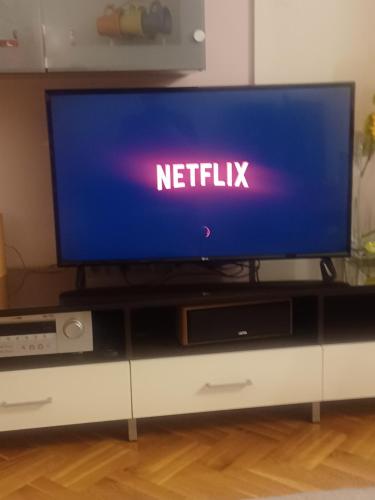 TV a/nebo společenská místnost v ubytování Apartman JAGODA