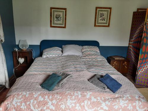 a large bed with two pillows on top of it at Notre village Papillon bed&breakfast in Néret