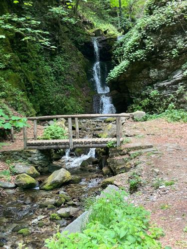 アパートメントの近くで見られる自然の景観