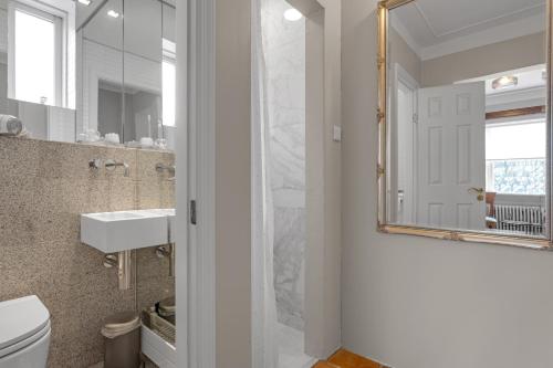 uma casa de banho com um WC, um lavatório e um espelho. em Audur Guesthouse em Reykjavík