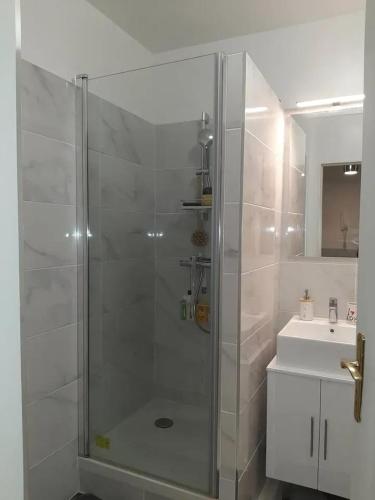 a shower with a glass door next to a sink at Appartement d'une chambre avec vue sur la ville terrasse amenagee et wifi a Saint Germain en Laye in Saint-Germain-en-Laye