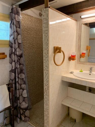 une salle de bain avec un lavabo et une douche dans l'établissement auxcheneslieges, à Lecci