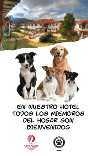 a group of three dogs sitting next to each other at Hotel Santa Viviana Villa de Leyva in Villa de Leyva