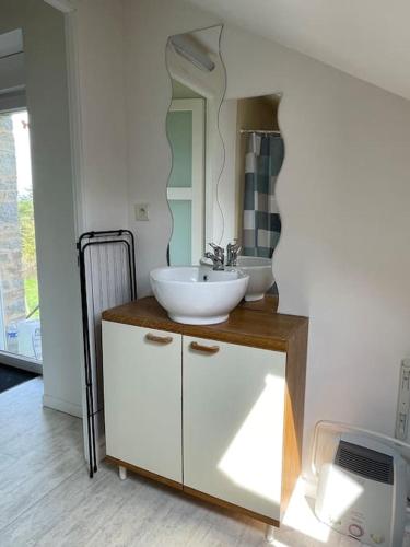 une salle de bain avec un lavabo et un miroir dans l'établissement Appartement domaine de Val Léose, à Grand-Fougeray