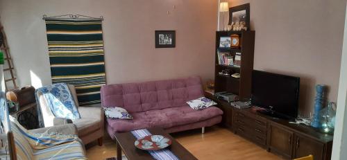 un soggiorno con divano rosa e TV di Furnished 2 room appartment in Vasa a Vaasa
