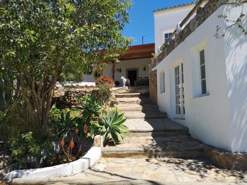 a set of stairs leading to a white house at Casa de Pedra e Cal in Vale da Rosa