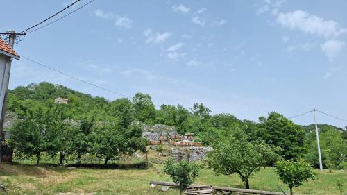 a group of houses on a hill behind trees at Eko selo LJUBOTINJ in Cetinje
