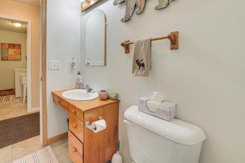 ein Badezimmer mit einem weißen WC und einem Waschbecken in der Unterkunft Pet-Friendly Kalkaska Home about 19 Mi to Torch Lake! in Kalkaska