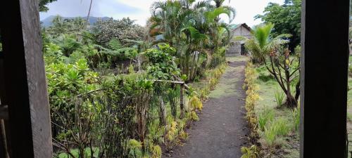 a path through a garden with palm trees at Yasur View Bungalow and Tree House in White Sands