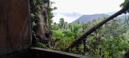 a view of a forest from a window of a building at Yasur View Bungalow and Tree House in White Sands