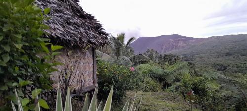 a house on a hill with mountains in the background at Yasur View Bungalow and Tree House in White Sands