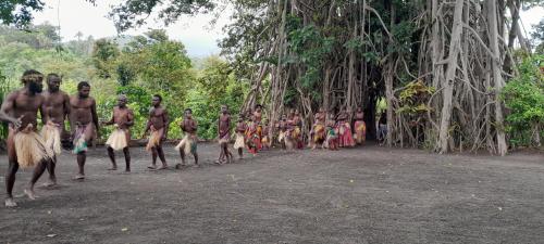 a group of people dancing in front of a tree at Yasur View Bungalow and Tree House in White Sands