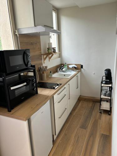 une petite cuisine avec un évier et un micro-ondes dans l'établissement greoux, à Gréoux-les-Bains