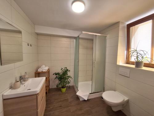 Koupelna v ubytování Apartmány Paseky - Jablonec nad Nisou