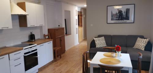 Kuchyň nebo kuchyňský kout v ubytování Apartamenty Starówka lll