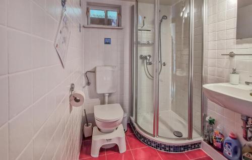 a bathroom with a shower and a toilet and a sink at 1 Bedroom Gorgeous Home In Ribnitz-damgarten in Ribnitz-Damgarten
