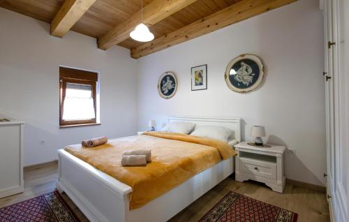 ein Schlafzimmer mit einem großen Bett in einem Zimmer in der Unterkunft Lovely Home In Oljasi With Kitchen 