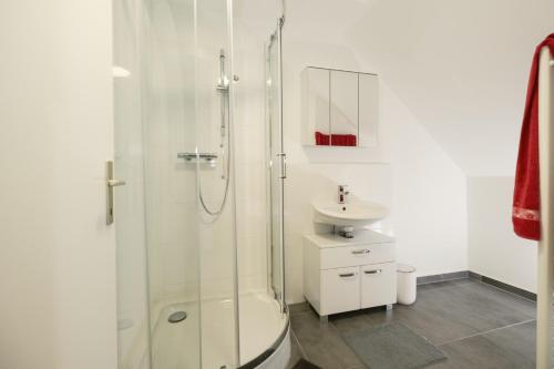 Barnbach的住宿－BÄRNAppartements 2，带淋浴和盥洗盆的白色浴室