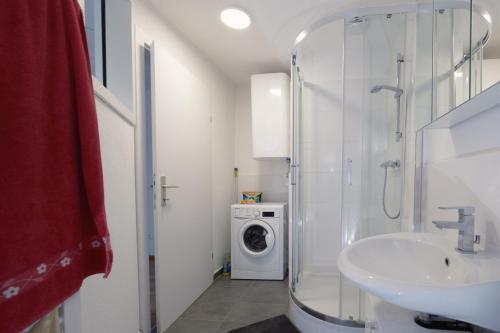 Barnbach的住宿－BÄRNAppartements 2，一间带水槽和洗衣机的浴室