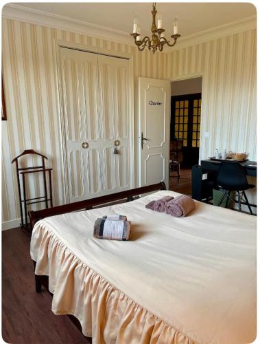 um quarto com uma grande cama branca e um lustre em Chambre au calme em Lagarrigue