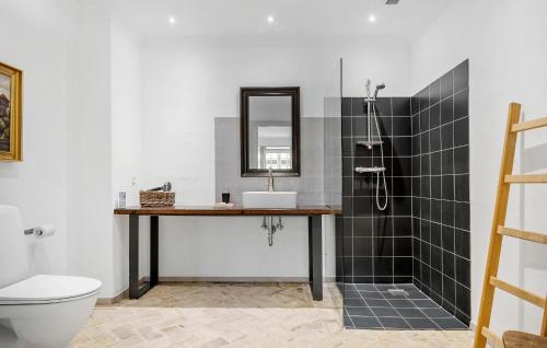 a bathroom with a sink and a toilet and a mirror at Gorgeous Home In Haderslev With Wifi in Haderslev