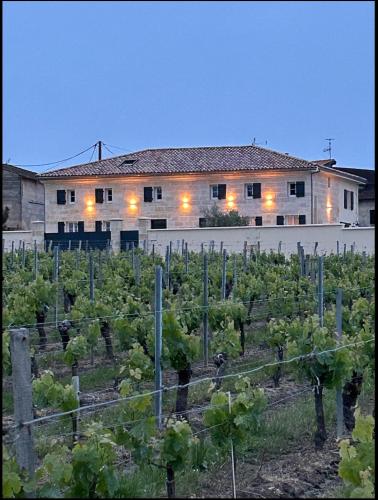 a vineyard with a building and a bunch of vines at Maltus - Le Repaire de Maltus "Gîtes & Spa" in Lussac