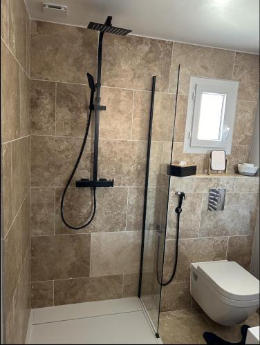 a bathroom with a shower and a toilet at Maltus - Le Repaire de Maltus "Gîtes & Spa" in Lussac