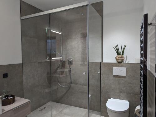 La salle de bains est pourvue d'une douche en verre et de toilettes. dans l'établissement Apartment Talblick, à Bramberg am Wildkogel