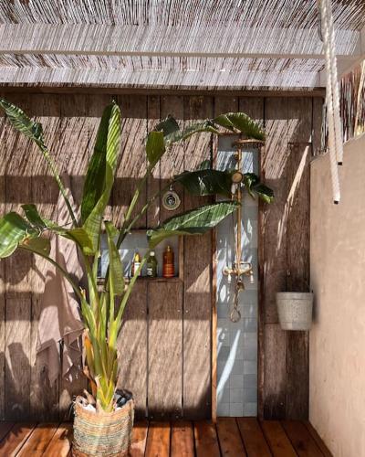 La salle de bains est pourvue d'une douche et d'une plante en pot. dans l'établissement Superbe maison à 5 min de Bordeaux, à Le Bouscat